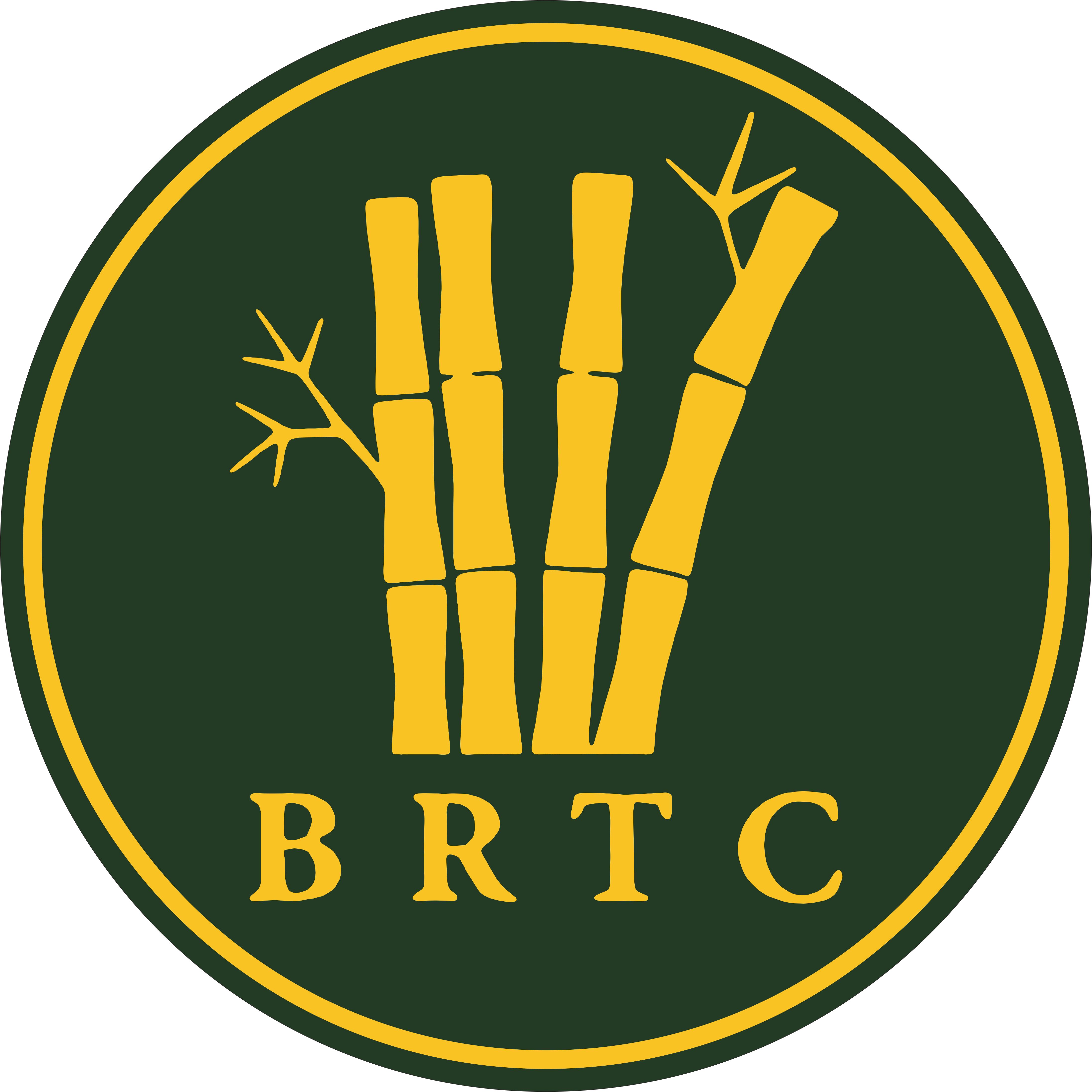 Brtc